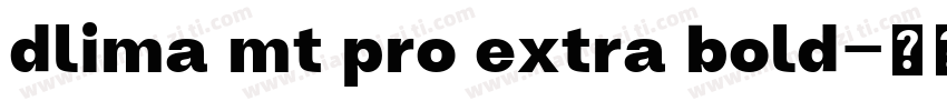 dlima mt pro extra bold字体转换